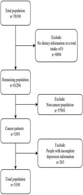 Correlation between dietary score and depression in cancer patients: Data from the 2005–2018 National Health and Nutrition Examination Surveys